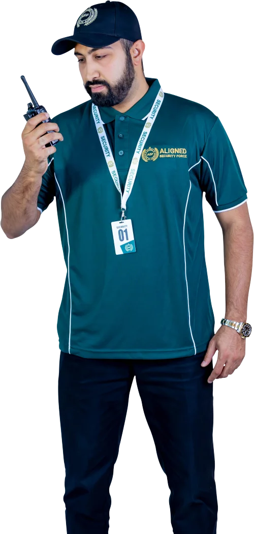 Aligned Security Force image